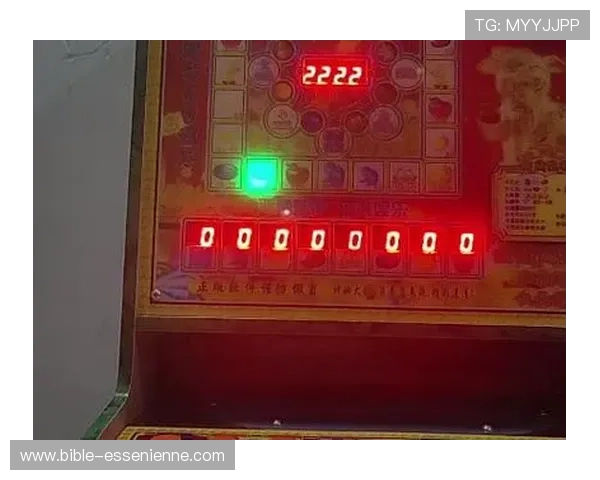 无需付费即可体验的老虎机游戏单机版丰富玩法等你探索