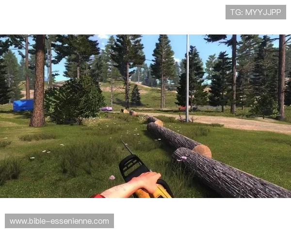 爱赢游戏下载：高品质游戏内容带来的豪华享受