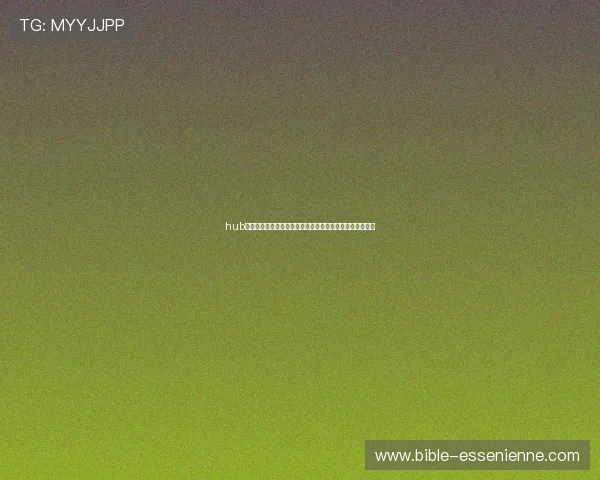 hub电子税务局常见操作技巧与优化建议帮助用户快速上手使用