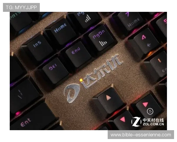 探索ttc键盘官网提供的多款高性能机械键盘，满足不同玩家的个性化需求