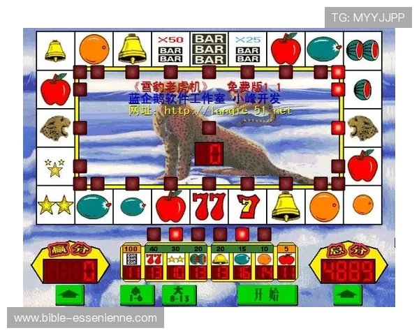 老虎机注册网址大全，提供多种注册方式满足不同玩家需求