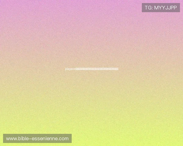 playace电子助力世界杯竞猜体验全面升级，打造最专业的体育竞猜平台